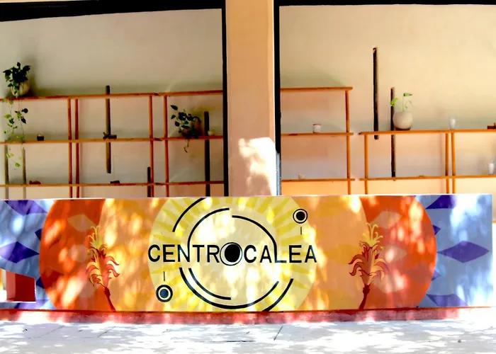 Calea Boutique